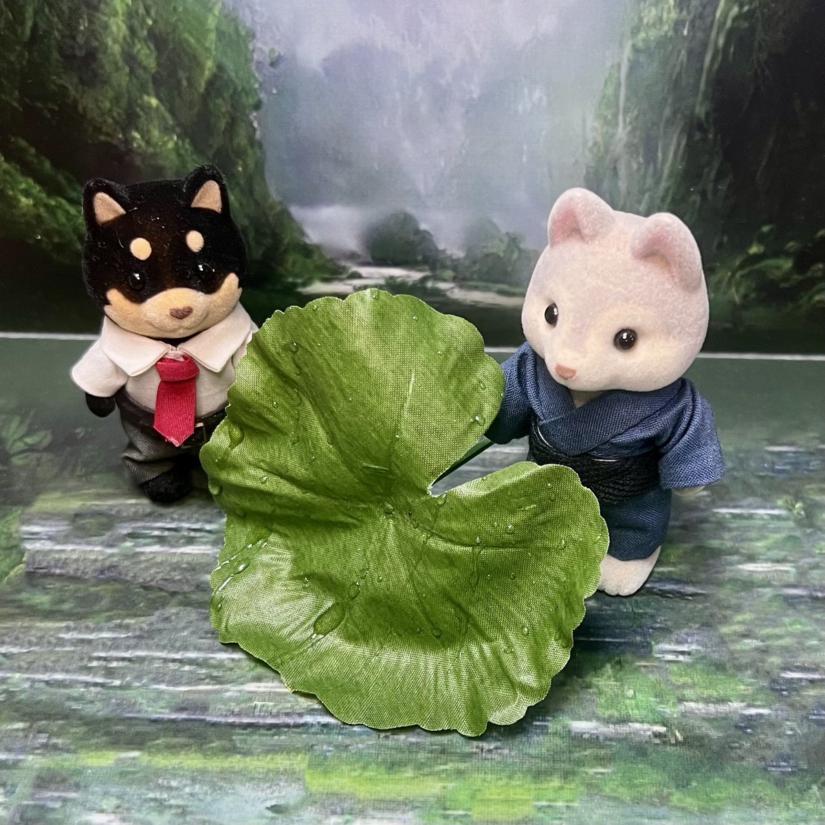 小藍 tweet media