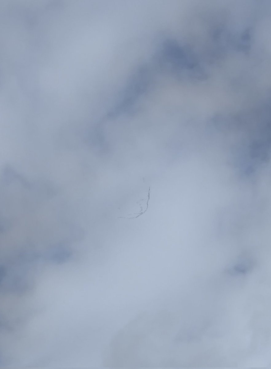 Avui 28 de Febrer ja han passat les grues per Gavàs! <a href="/pnaltpirineu/">Parc Natural de l'Alt Pirineu</a>