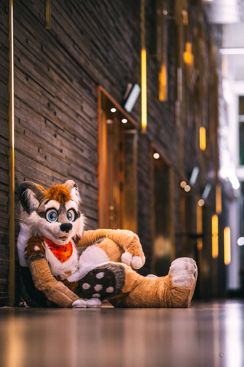 Quill (@numbatquill) on Twitter photo Sometimes you just gotta take a moment to relax~
Awesome picture by: <a href="/stormotten/">STORM (Otten) ๐ EF</a>
#FursuitFriday Sometimes you just gotta take a moment to relax~
Awesome picture by: <a href="/stormotten/">STORM (Otten) ๐ EF</a>
#FursuitFriday