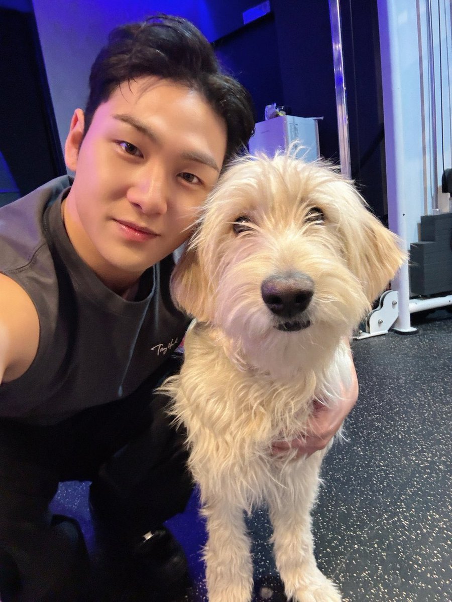 ㅠㅠㅠ미쳐벌여 진짜 댕댕이가