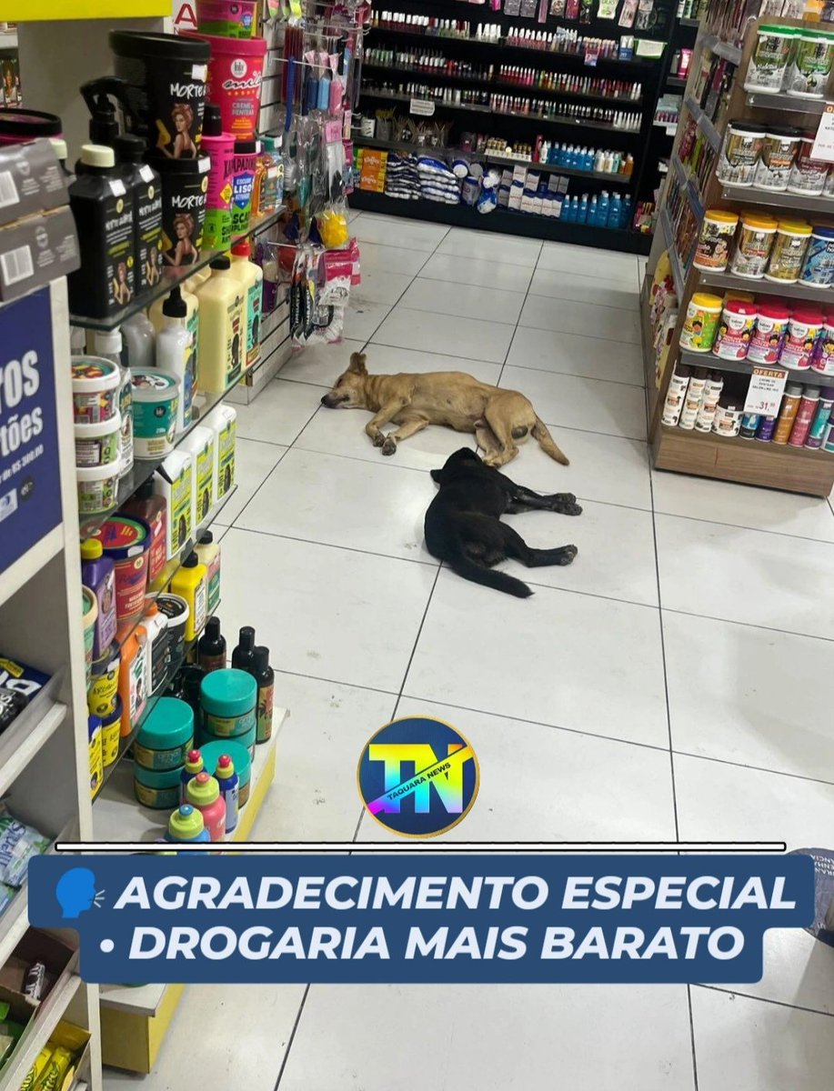 🗣️ AGRADECIMENTO ESPECIAL • DROGARIA MAIS BARATO 

"Gostaria de deixar meu agradecimento e meus parabéns a drogaria MAIS BARATO, no Tanque! Fui lá e encontrei esses doguinhos descansando no ar condicionado bem plenos! E a atendente disse que eles já são presença vip!"