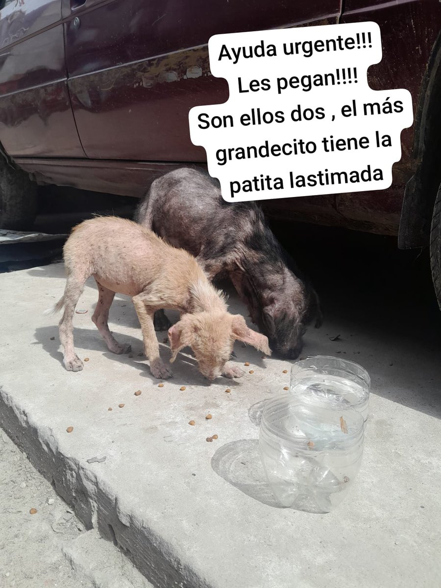patripeyrou's tweet photo. 1145309414
URGENTE 
ESTAN DEBAJO DE UN AUTO POR LA LLUVIA!!! https://t.co/7jh1aQHqKu