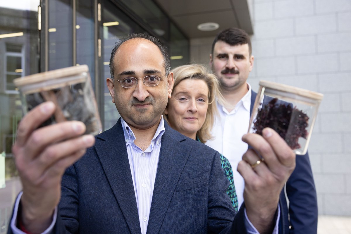 Trinity College Dublin (@tcddublin) on Twitter photo Happy launch day today to new Irish Seaweed Association!🥳
A spin out from the <a href="/CFAARER/">C-FAARER</a> research project in <a href="/TCDBusiness/">Trinity Business School</a> and <a href="/TCD_NatSci/">School of Natural Sciences, Trinity College Dublin</a>, the association will work to unlock the potential of seaweed farming as a nature-positive & community-driven sector.
tcd.ie/news_events/ar… Happy launch day today to new Irish Seaweed Association!🥳
A spin out from the <a href="/CFAARER/">C-FAARER</a> research project in <a href="/TCDBusiness/">Trinity Business School</a> and <a href="/TCD_NatSci/">School of Natural Sciences, Trinity College Dublin</a>, the association will work to unlock the potential of seaweed farming as a nature-positive & community-driven sector.
tcd.ie/news_events/ar…