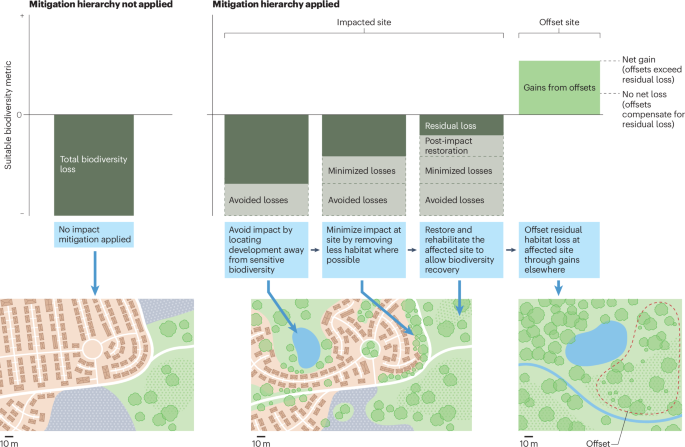 New online! Biodiversity offsets, their effectiveness and their role in a nature positive future bit.ly/3F0zGD5