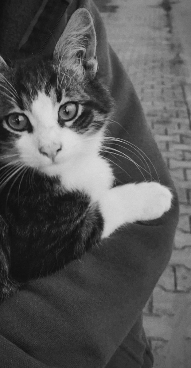 Merhamet....
Bir insana yakışan en iyi gömlekdir

Nasıl gidiyor keyifler Ramazan'a hazırlık nasıl gidiyor.
Şükürler olsun 🤲🏻 kavuşturana🥰🤲🏻

Beni sadece çaysizlık zora sokacak