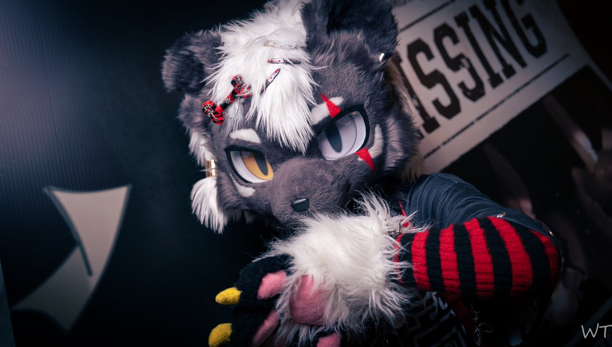 ❌
#FursuitFriday