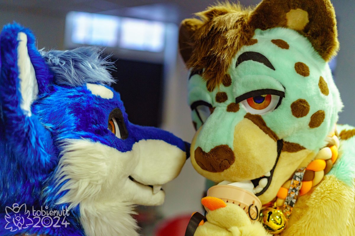 πΊπ Lapis Wolfe ππΊ (@lapiswolfe) on Twitter photo Sharing an ice cream with Minty Cheetah. OwO π¦
πΈ: <a href="/tobiemutt/">tobiemutt.co.uk π¦</a>
π: <a href="/Warrington_Furs/">Warrington Furs</a>
#furry #furries #furryfandom #furrycommunity #fursuit #fursuiting #FursuitFriday #FursuitEveryday Sharing an ice cream with Minty Cheetah. OwO π¦
πΈ: <a href="/tobiemutt/">tobiemutt.co.uk π¦</a>
π: <a href="/Warrington_Furs/">Warrington Furs</a>
#furry #furries #furryfandom #furrycommunity #fursuit #fursuiting #FursuitFriday #FursuitEveryday