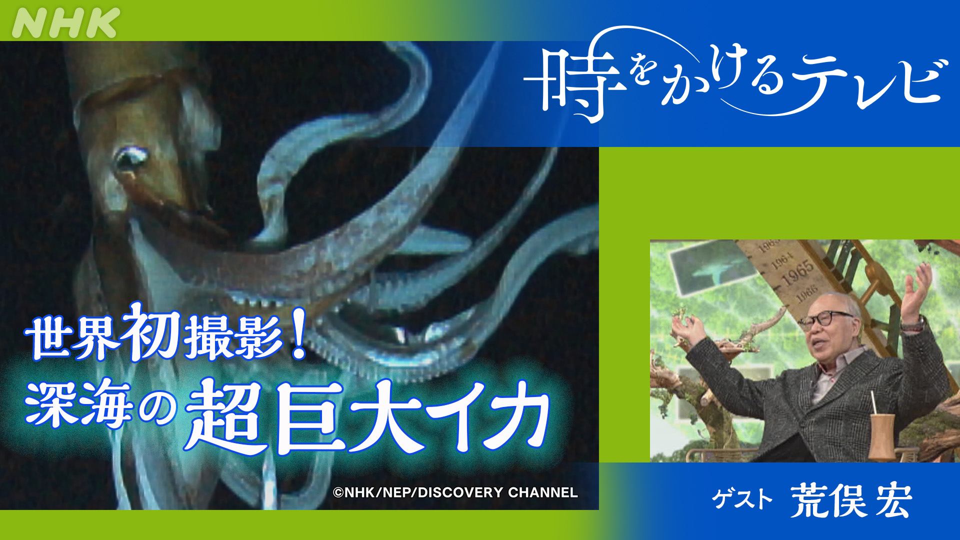 Amazon.co.jp: 立体カプセル百科事典 NHKスペシャル 深海の超