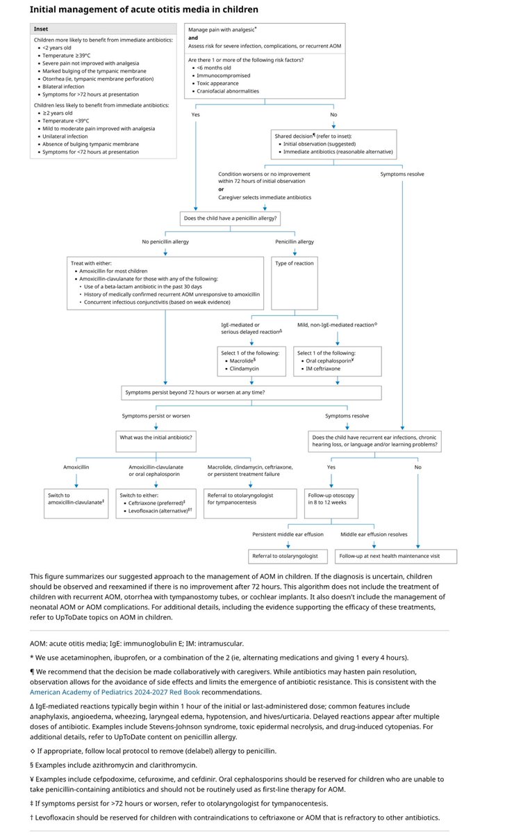 📢 تغريدة مهمة لأطباء الأطفال ، الأسرة ، الطوارئ ، الأنف والاذن والحنجرة: 

📍 الدليل الشامل لعلاج التهاب الأذن الوسطى الحاد (AOM) في الأطفال حسب

🔹 1️⃣ التقييم الأولي والعلاج الأساسي
•إدارة الألم باستخدام المسكنات 💊 (الباراسيتامول أو الإيبوبروفين أو الجمع بينهما بالتناوب كل 4