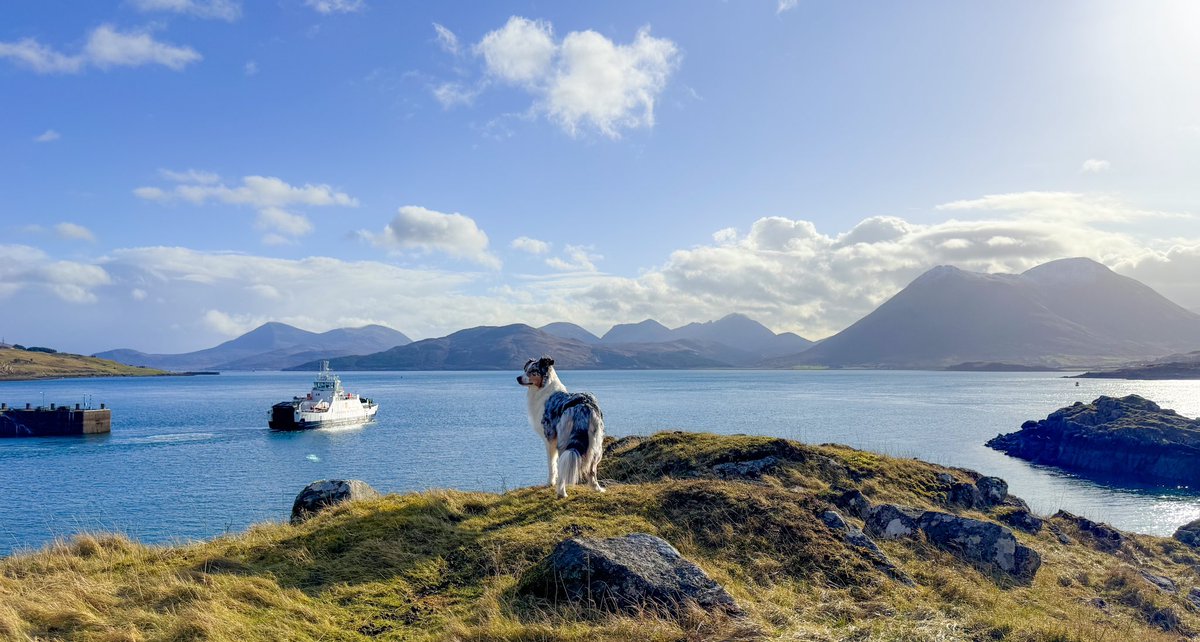 Calum 🏴󠁧󠁢󠁳󠁣󠁴󠁿 ⛐ tweet media