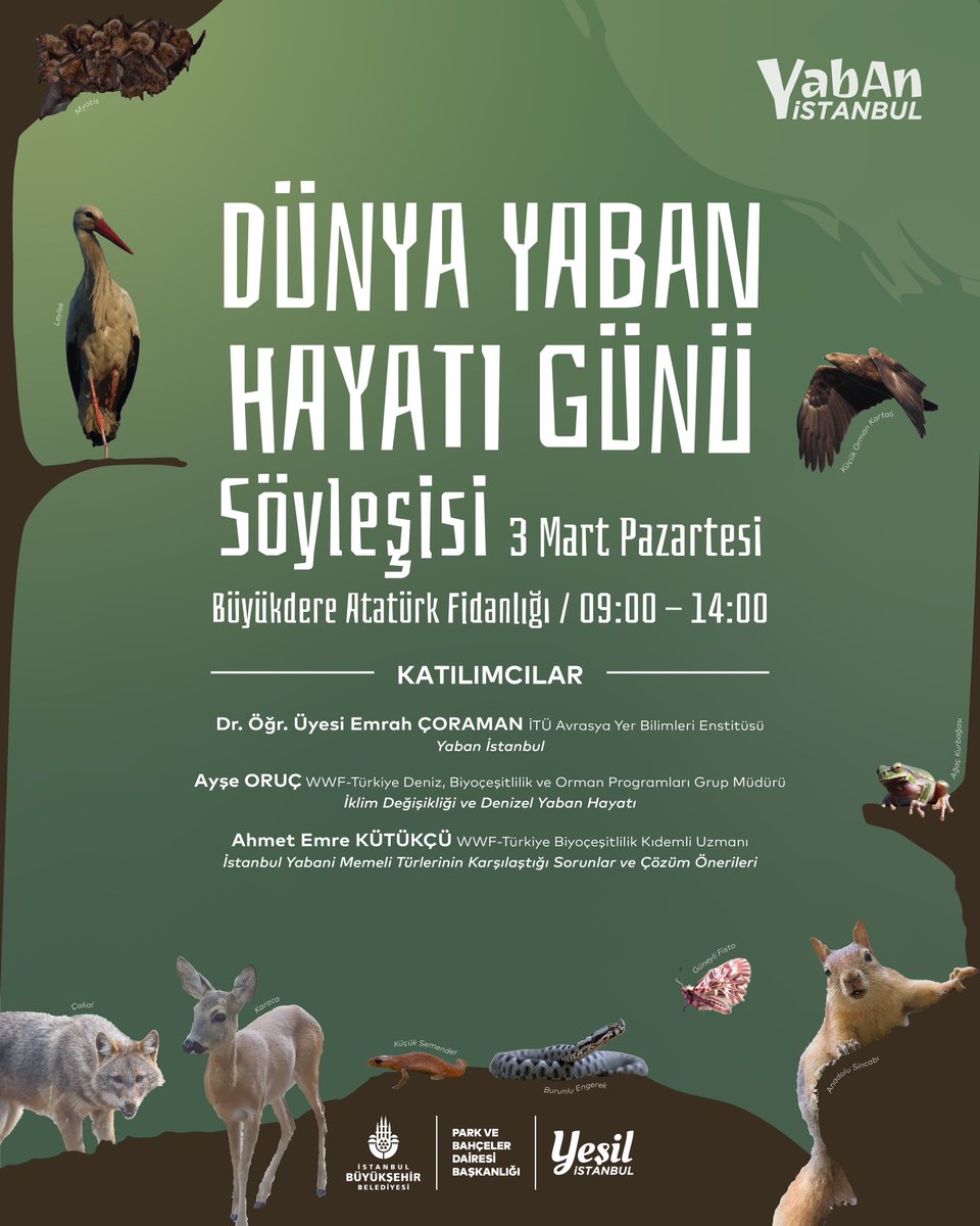 Yeşil İstanbul 🌿 (@ibbyesilist) on Twitter photo 🦊 “Beni duyuyor musun?”
🐿 “Şşşt, bak buradayız!”
🦉 “Siz de gelin!”
3 Mart Dünya Yaban Hayatı Günü’nde, doğanın gerçek sahipleriyle tanışmaya hazır mısın? 🦔🦡
<a href="/istanbulbld/">İstanbul Büyükşehir Belediyesi</a> #yesilistanbul #yabanistanbul
<a href="/WWF_TURKIYE/">WWF_TURKIYE</a> <a href="/coraman/">Emrah Çoraman</a> 🦊 “Beni duyuyor musun?”
🐿 “Şşşt, bak buradayız!”
🦉 “Siz de gelin!”
3 Mart Dünya Yaban Hayatı Günü’nde, doğanın gerçek sahipleriyle tanışmaya hazır mısın? 🦔🦡
<a href="/istanbulbld/">İstanbul Büyükşehir Belediyesi</a> #yesilistanbul #yabanistanbul
<a href="/WWF_TURKIYE/">WWF_TURKIYE</a> <a href="/coraman/">Emrah Çoraman</a>