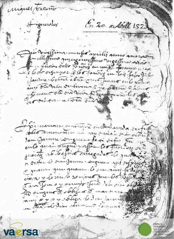 VaersaGva's tweet photo. #SabiesQue el “Fons Documental Històric de #viespecuàries de la #ComunitatValenciana” de la @generalitat conté còpies de llibres de passos i assagadors, documents datats en el segle XVI, sent el més antic de l’any 1523 del municipi de Llucena?. #SomVaersaGrup https://t.co/v6t5w5s3sr