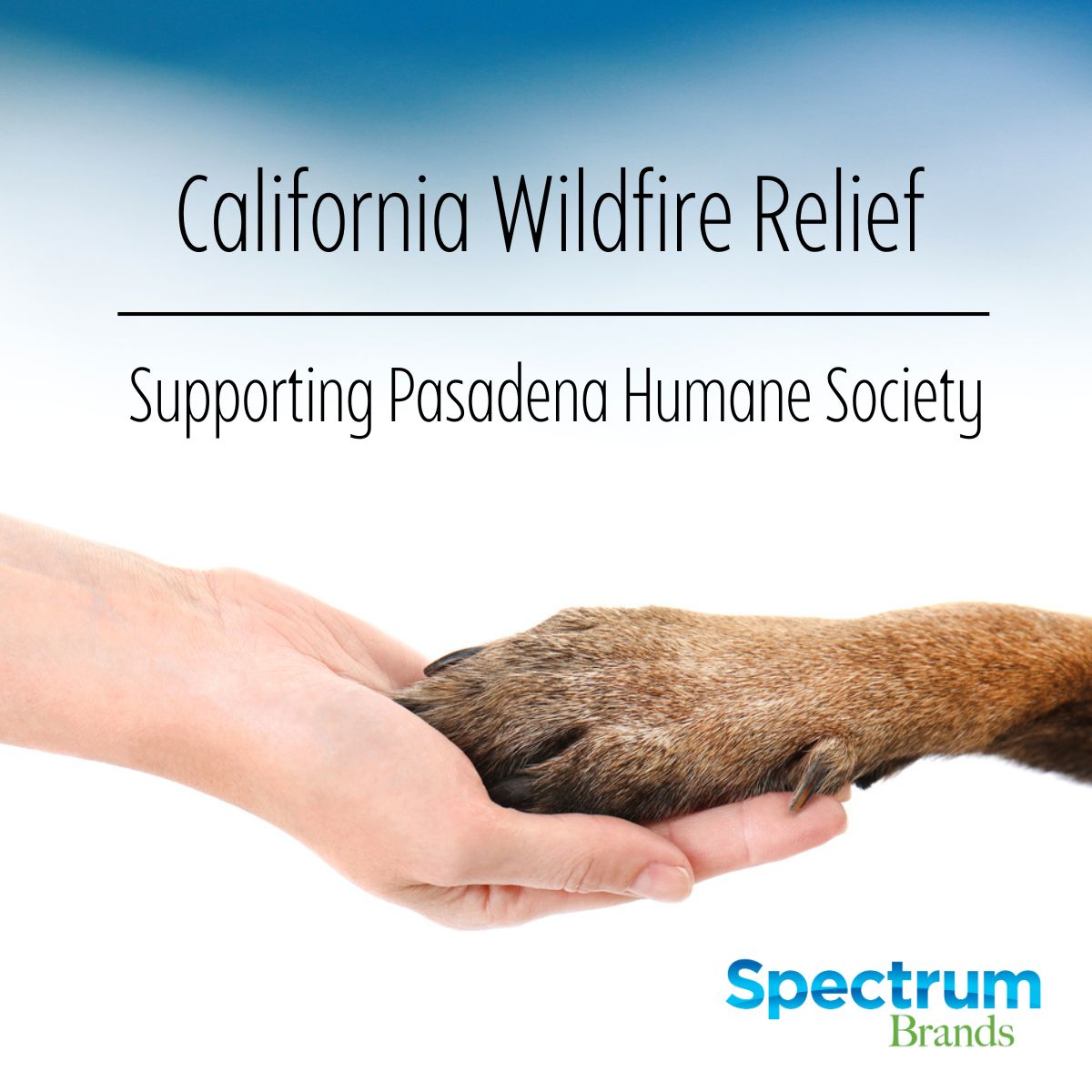 Spectrum Brands is proud to support California wildfire recovery efforts with the donation of more than $40,000 in cash and products to Pasadena Humane Society.