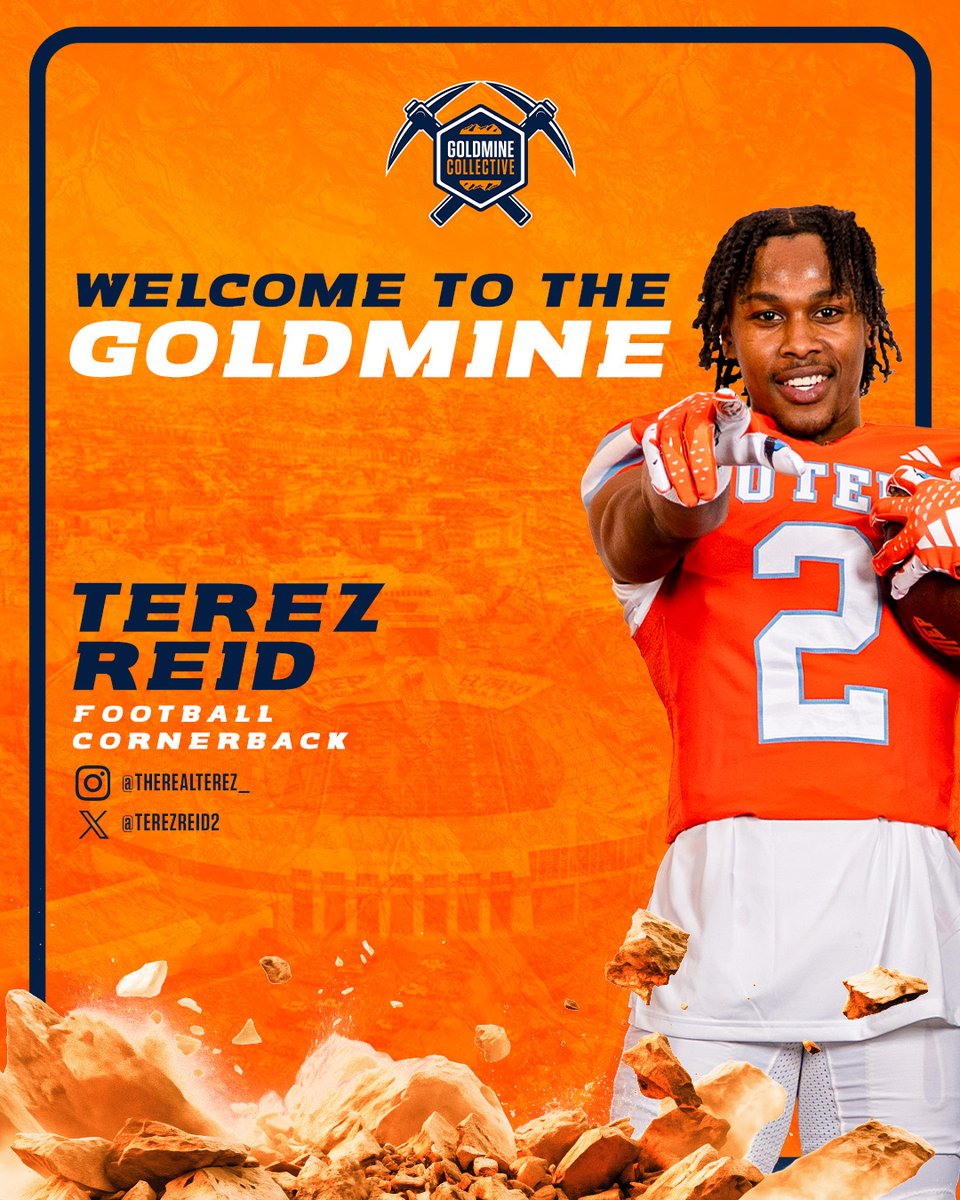 The Goldmine Collective tweet media