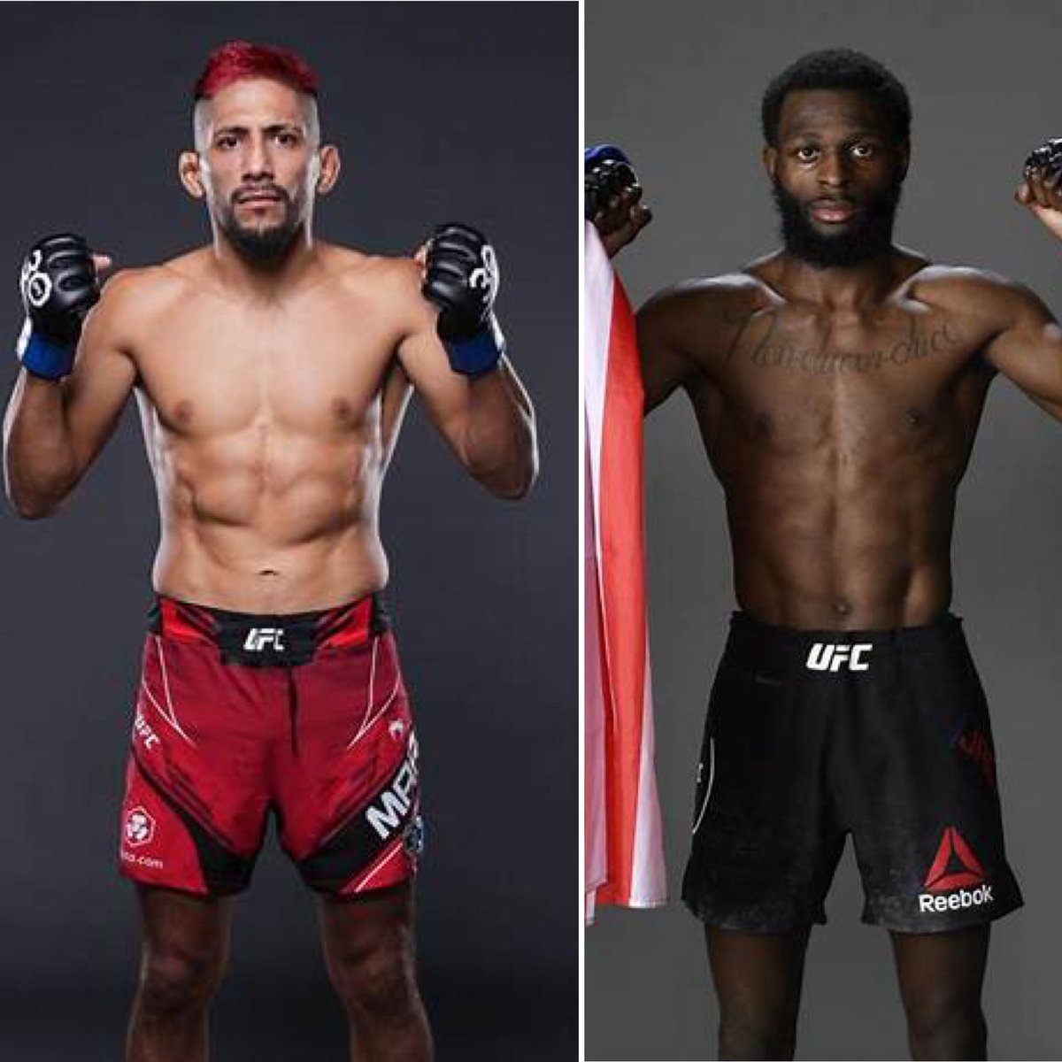 Gaston “Tonga” Reyno tweet media