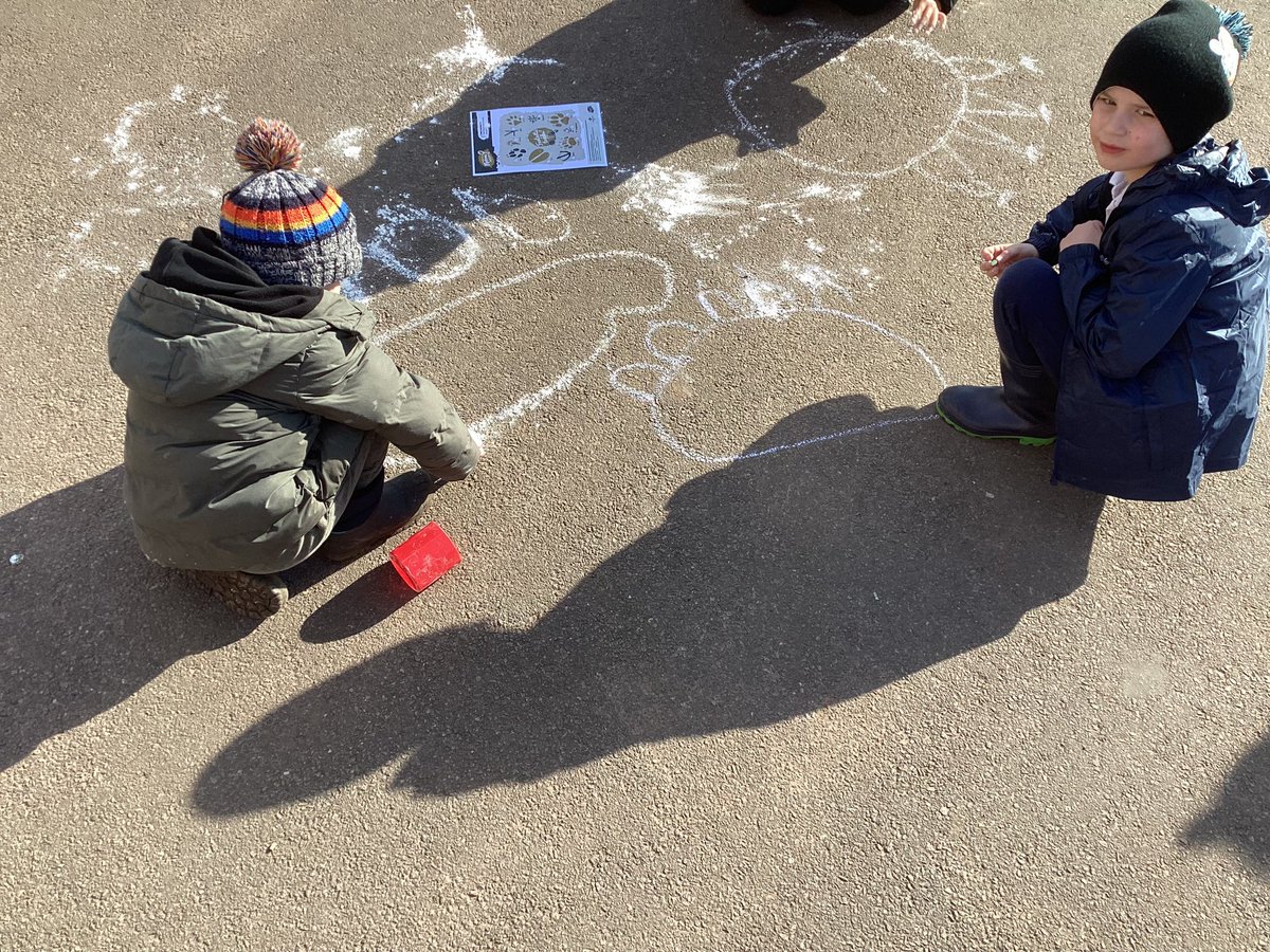 whcps's tweet photo. Year 2 are enjoying being nature explorers today. We have taken a closer look at natural objects using binoculars and magnifying glasses and made our own animal footprint trails using chalk and flour! #whcoutdoorlearning
#whcyear2 https://t.co/BsA2Ci7f4i