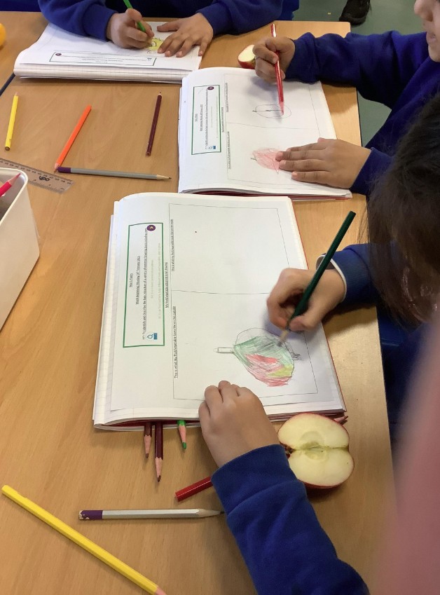 allsaintssbd5's tweet photo. From archaeology, to cooking...the children at All Saints have been busy learning through practical activities this week #AllSaintsProud #PracticalLearning #STEMEducation https://t.co/iXsMwh4XsI
