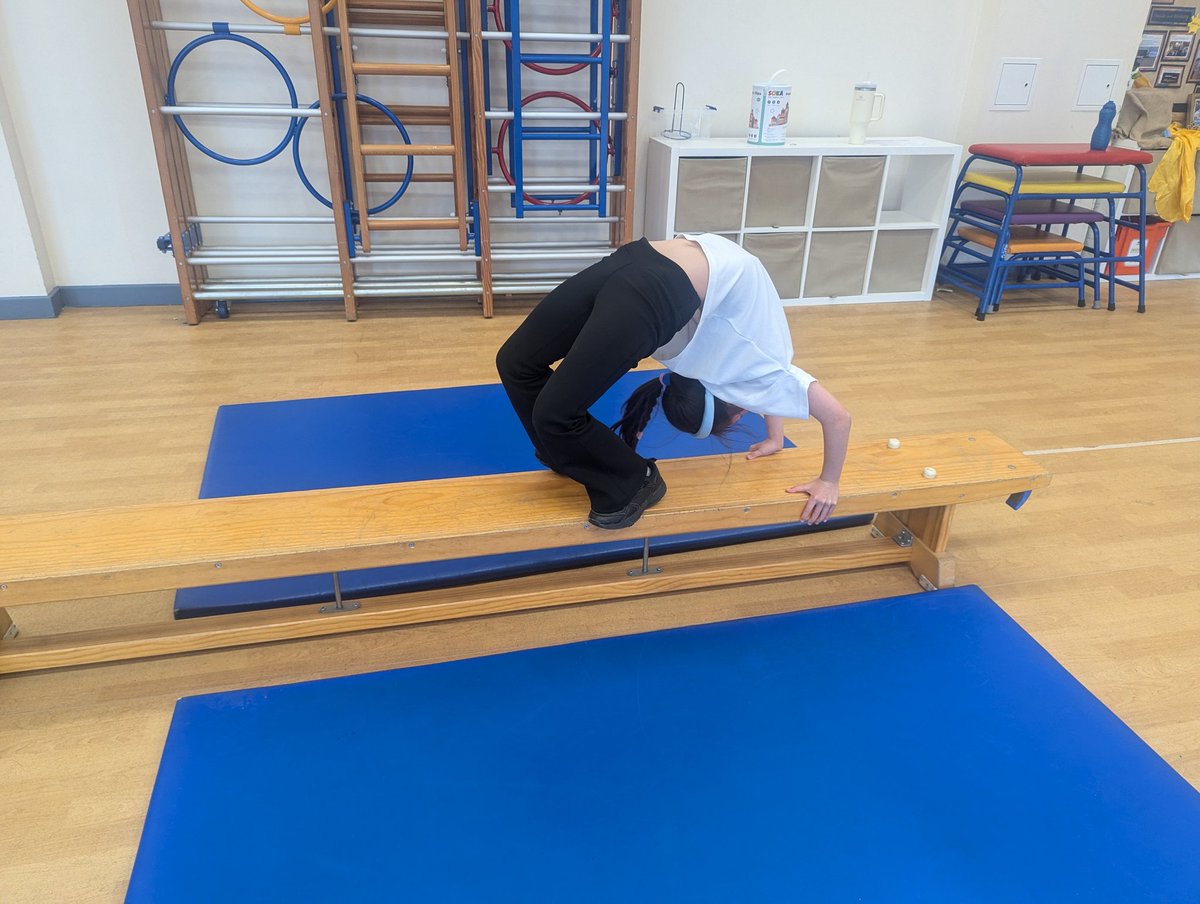 Foxfield - Year 4 tweet media