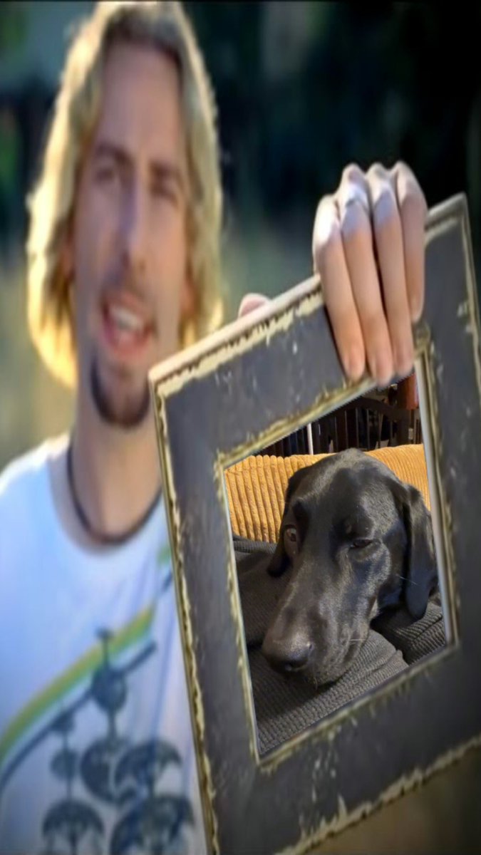 Look at this photograph.