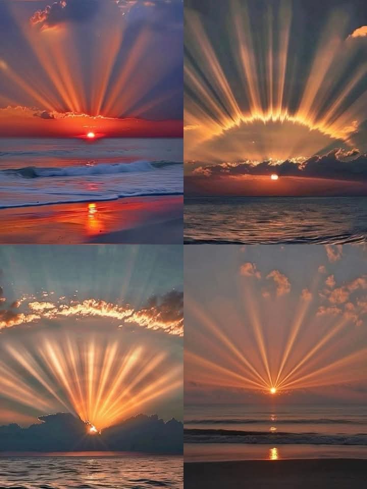 sciencespace0's tweet image. Sunsets ✨🧡💛❤️‍🔥