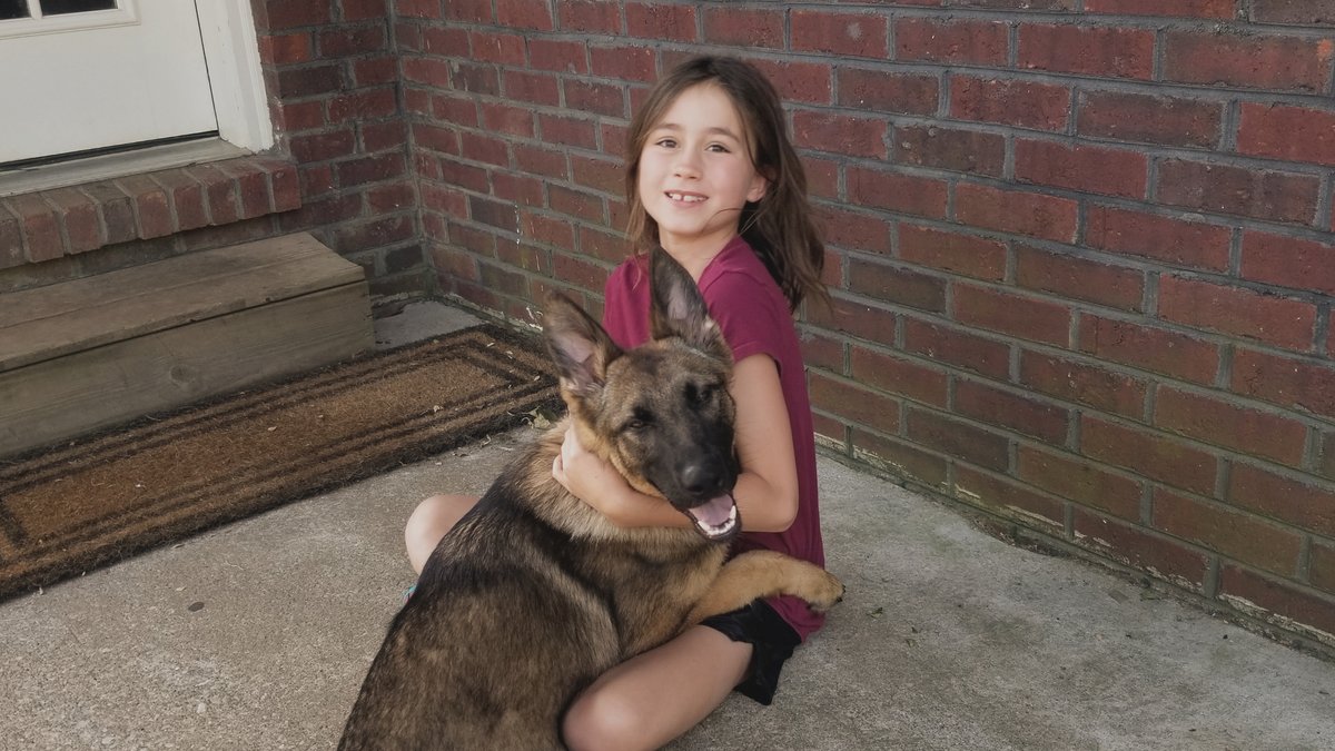 K9_Unleashed's tweet photo. Looking for a loyal companion that also has your back? 🐶💪 Discover how family protection dogs provide security and love for your home. Check out the details here: https://t.co/FoGZd3as2N #FamilyProtectionDogs #SafetyFirst #K9Unleashed https://t.co/Yrs3gnj4Na