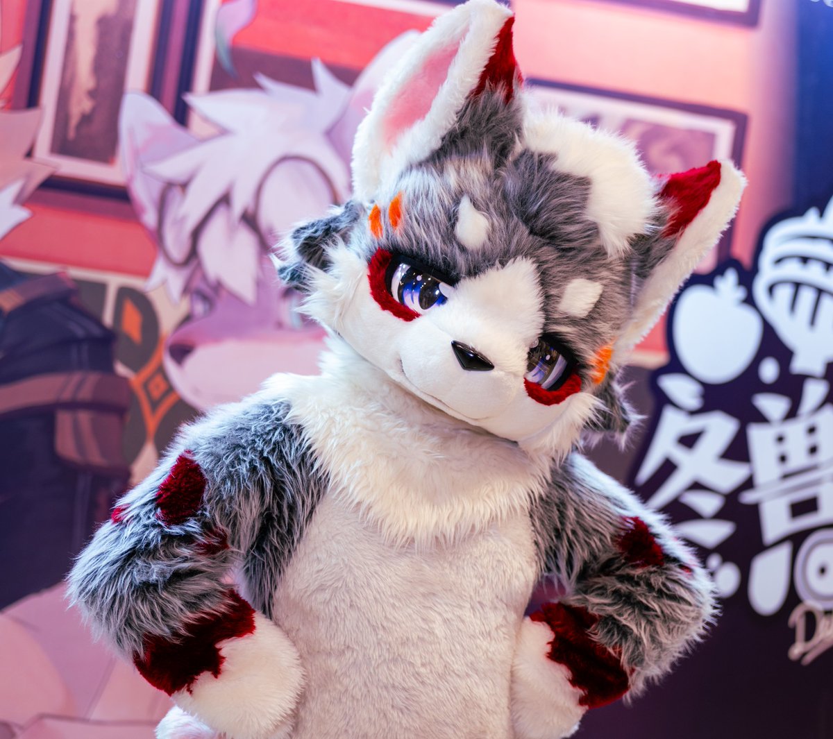 #Fursuitfriday 
说吧  让我摆什么姿势？嗯？现在的姿势就可以嘛？
感谢返图  岚浔loong wolf