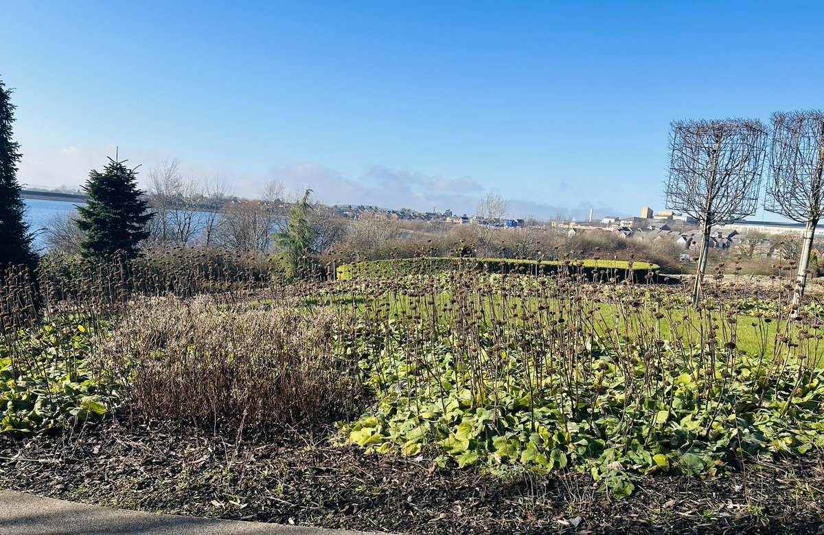 EG on the move L2 Horticultural Apprentice Dan completing his EPA today <a href="/OldhamCollege/">Oldham College</a> <a href="/LantraUK/">Lantra</a>