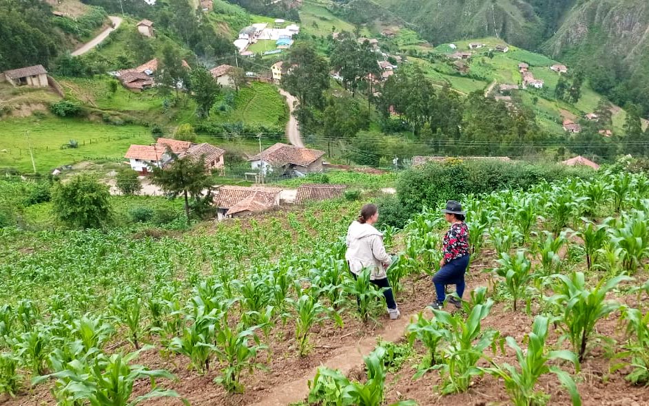 Agricultura_CZ7's tweet photo. #Loja | A través de la Oficina Técnica del MAG en #Catamayo, brindamos asistencia técnica en manejo de maíz y realizamos seguimiento a mujeres rurales en la parroquia #Gualel para socializar el Alivio Financiero y los créditos de la Súper Mujer Rural. https://t.co/g5cfrKP2hU