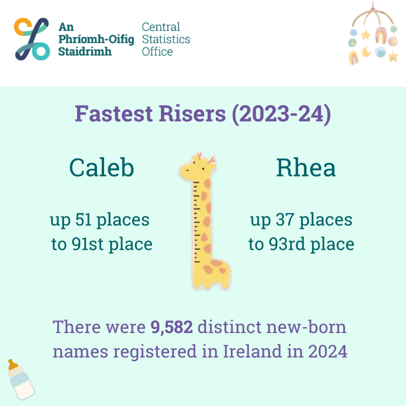 CSOIreland's tweet photo. When it comes to new names, Rowan, Caleb + Iarlaith joined the top 100 boys names in Ireland in 2024, while the new entrants for girls were Hallie, Rhea, Caragh + Aurora
⬇️ See below for more
#CSOIreland #Ireland #VitalStatistics #Births #IrishBabiesNames #BoysNames #GirlsNames