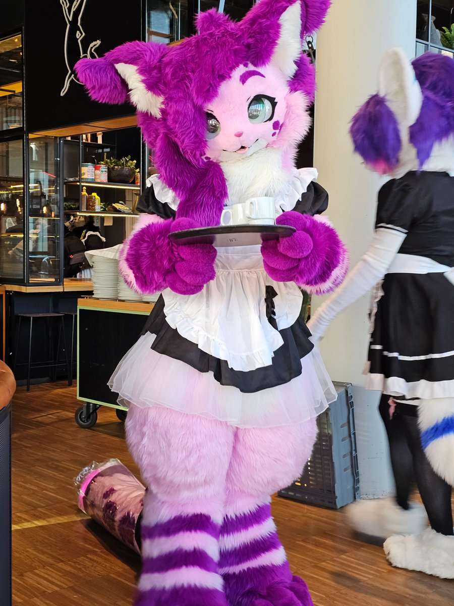 Bringing u the sippies!! 🍵✨

#FursuitFriday