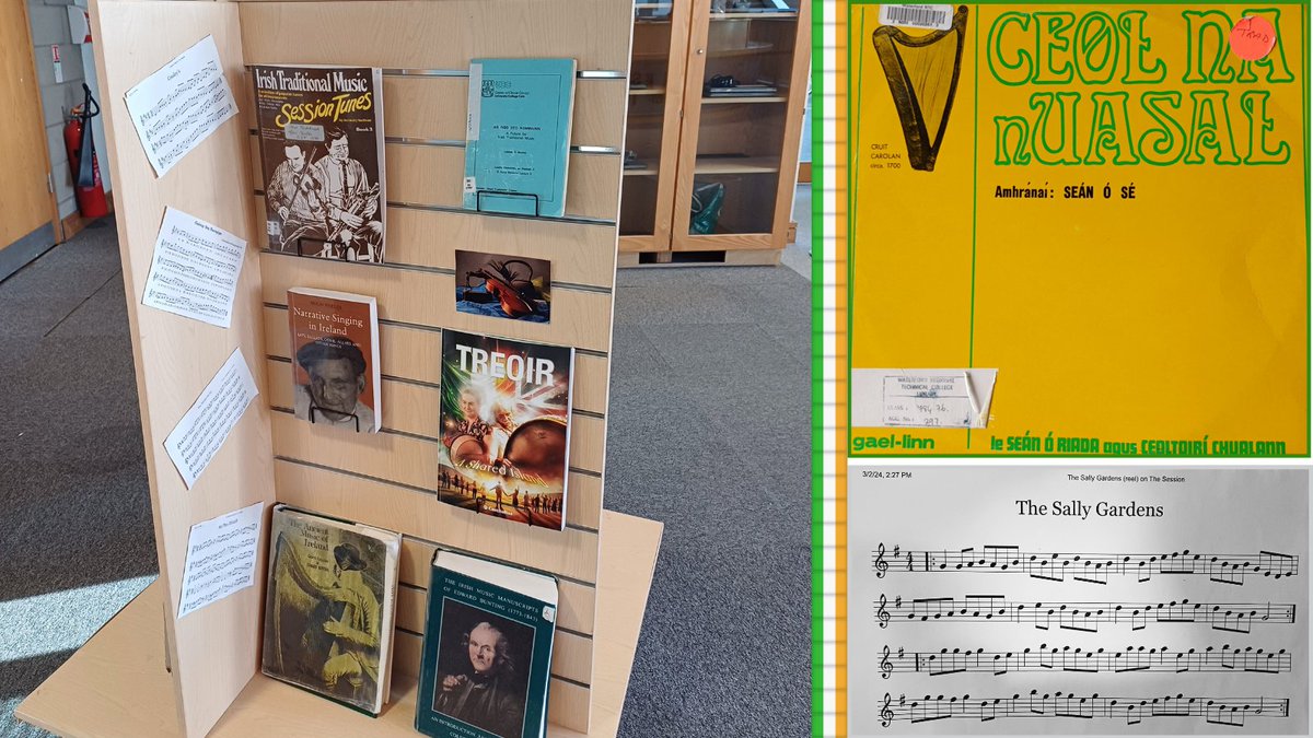 A display stand in Luke Wadding Library, Waterford. 
🎼🎻
Mar cheiliúradh ar cheol traidisiúnta na hÉireann – is féidir na leabhair a fháil ar iasacht. #SnaG25