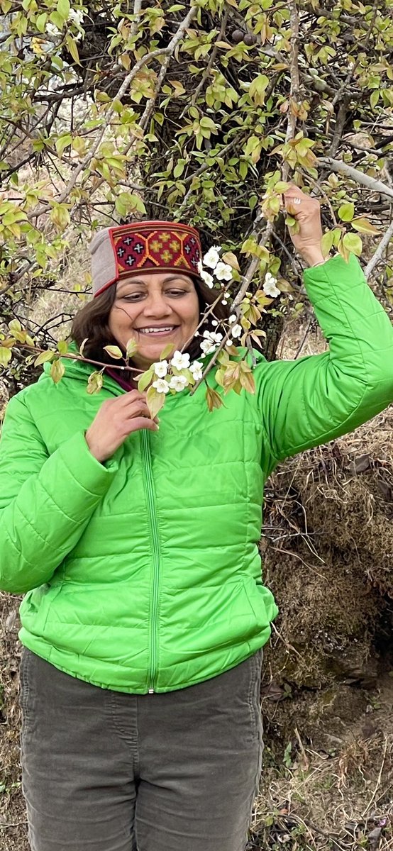 LyfInTransit's tweet image. Can spring be far behind?

With not so harsh winter behind us, we are now embracing for the most colourful months of the year. 🌸🌺🌼
#Uttarakhand 
#SpringIsHere #VasantRitu