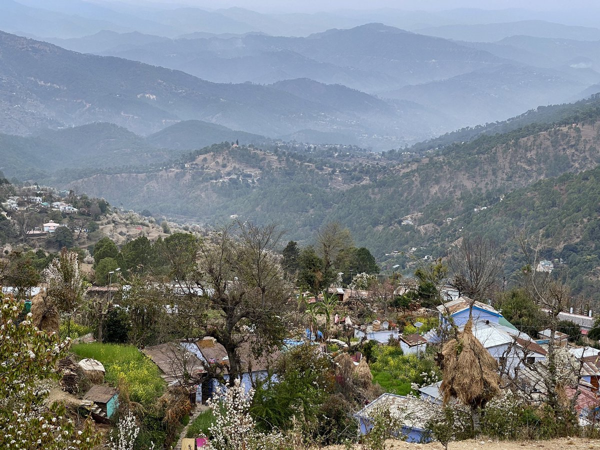 LyfInTransit's tweet image. Can spring be far behind?

With not so harsh winter behind us, we are now embracing for the most colourful months of the year. 🌸🌺🌼
#Uttarakhand 
#SpringIsHere #VasantRitu