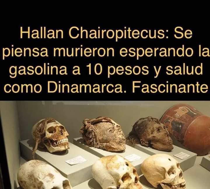 Rodrigo Maldonado tweet media