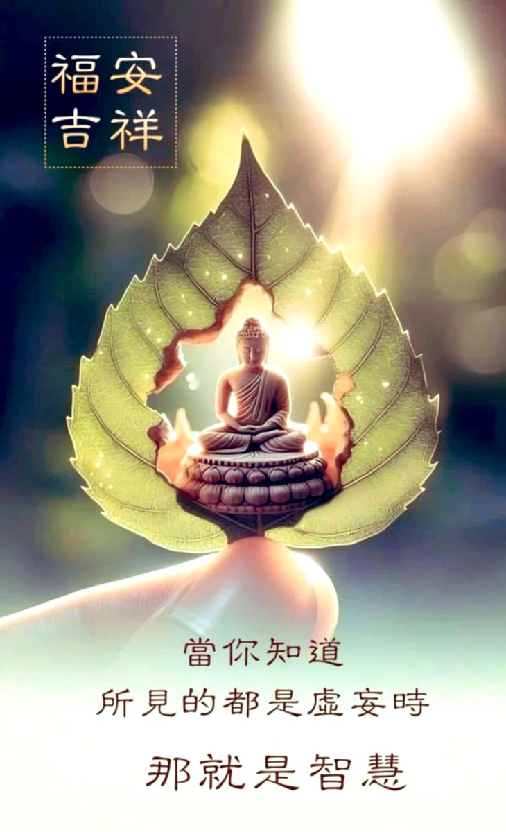 阿京 tweet media