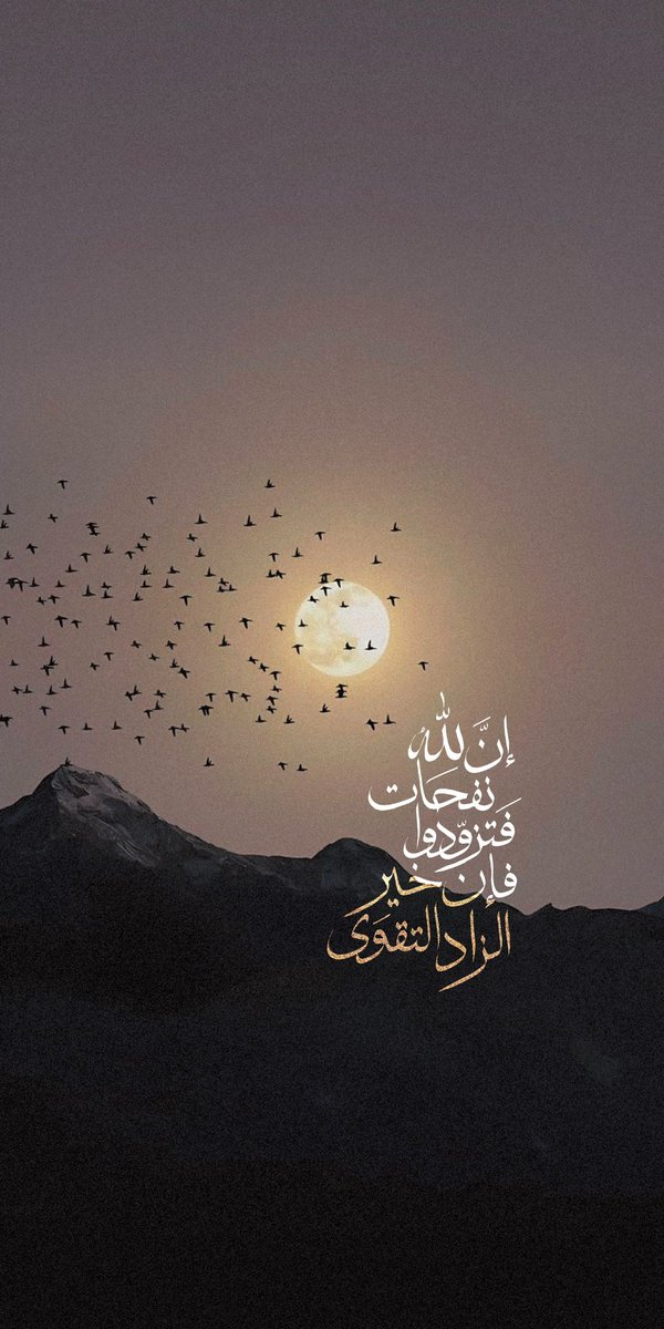 الأمجاد (@_1amfh) on Twitter photo 