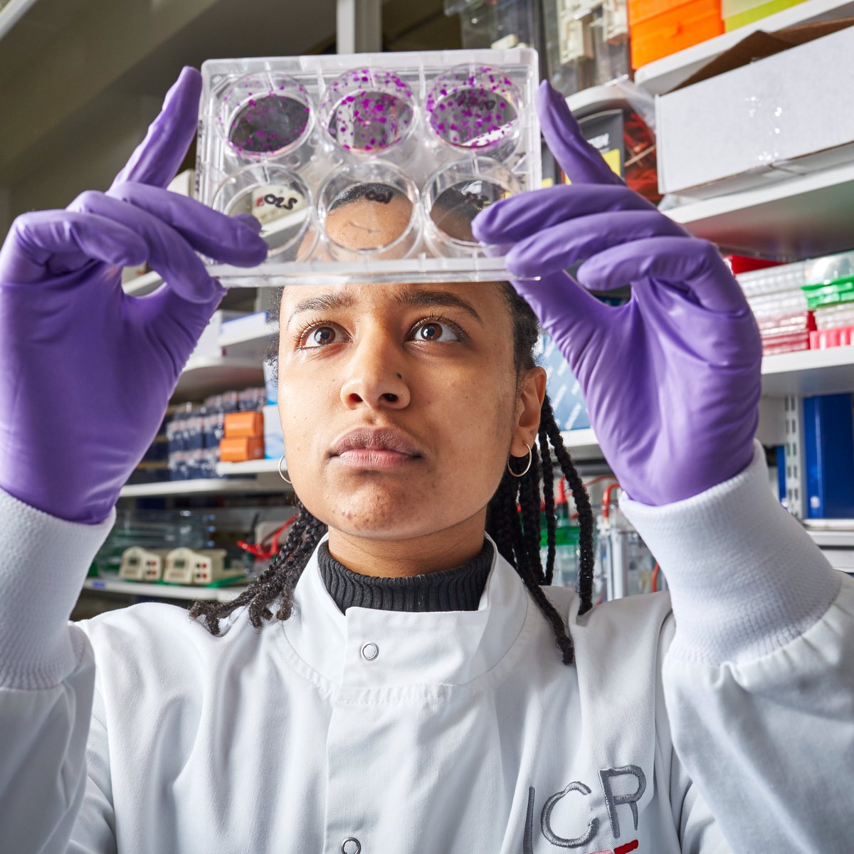 It's National Careers Week 🧑‍🔬

At the ICR, our careers can range from biologists to statisticians, we're united by one goal of defeating cancer.

This week, we'll share advice, tips and experiences from our people working in #CancerResearch

icr.ac.uk/schools

#NCW2025