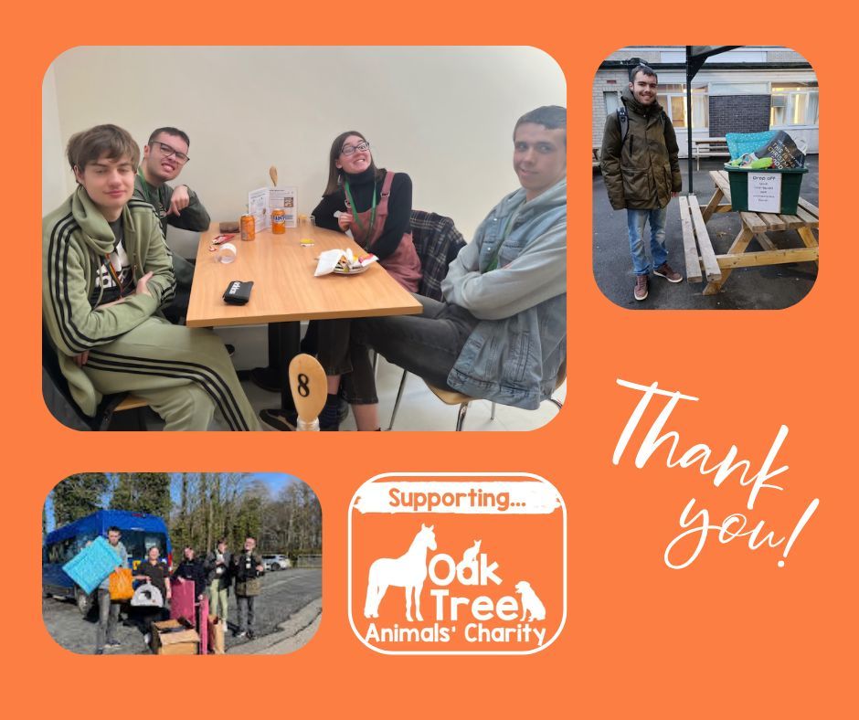 Ullswater Community College (@ullswatercc) on Twitter photo Well done to our ASDAN group who have been fundraising for the <a href="/oaktreeanimals/">Oak Tree Animals' Charity</a>. They managed to raise £119 by running a raffle & were able to deliver all the pet accessories that were kindly donated by staff & students. Thank you to everyone who contributed!
#proudtobeucc Well done to our ASDAN group who have been fundraising for the <a href="/oaktreeanimals/">Oak Tree Animals' Charity</a>. They managed to raise £119 by running a raffle & were able to deliver all the pet accessories that were kindly donated by staff & students. Thank you to everyone who contributed!
#proudtobeucc