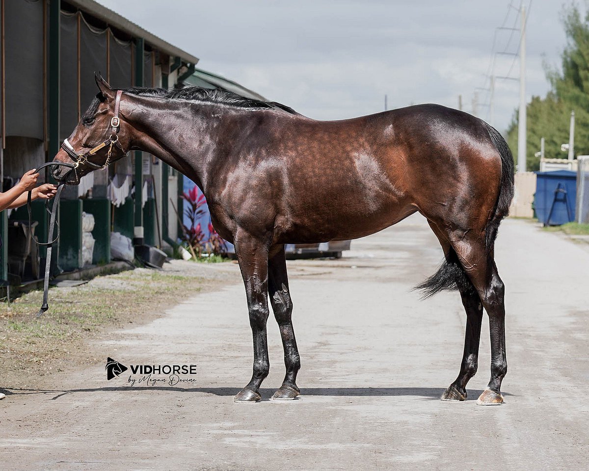 Taylor Made Farm tweet media