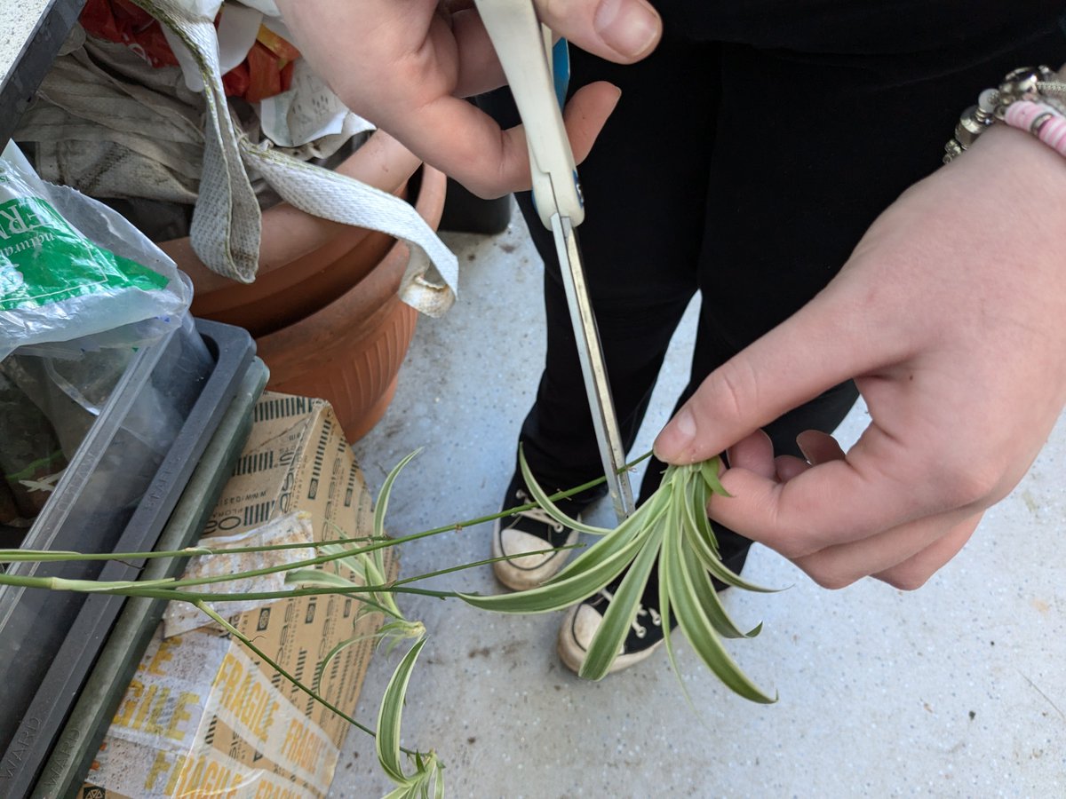 Pupil Support tweet media