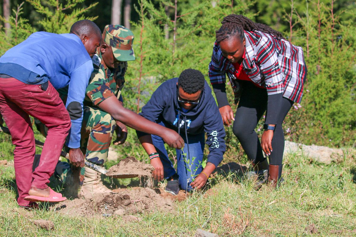 Kenya Tourism Board Corporate tweet media
