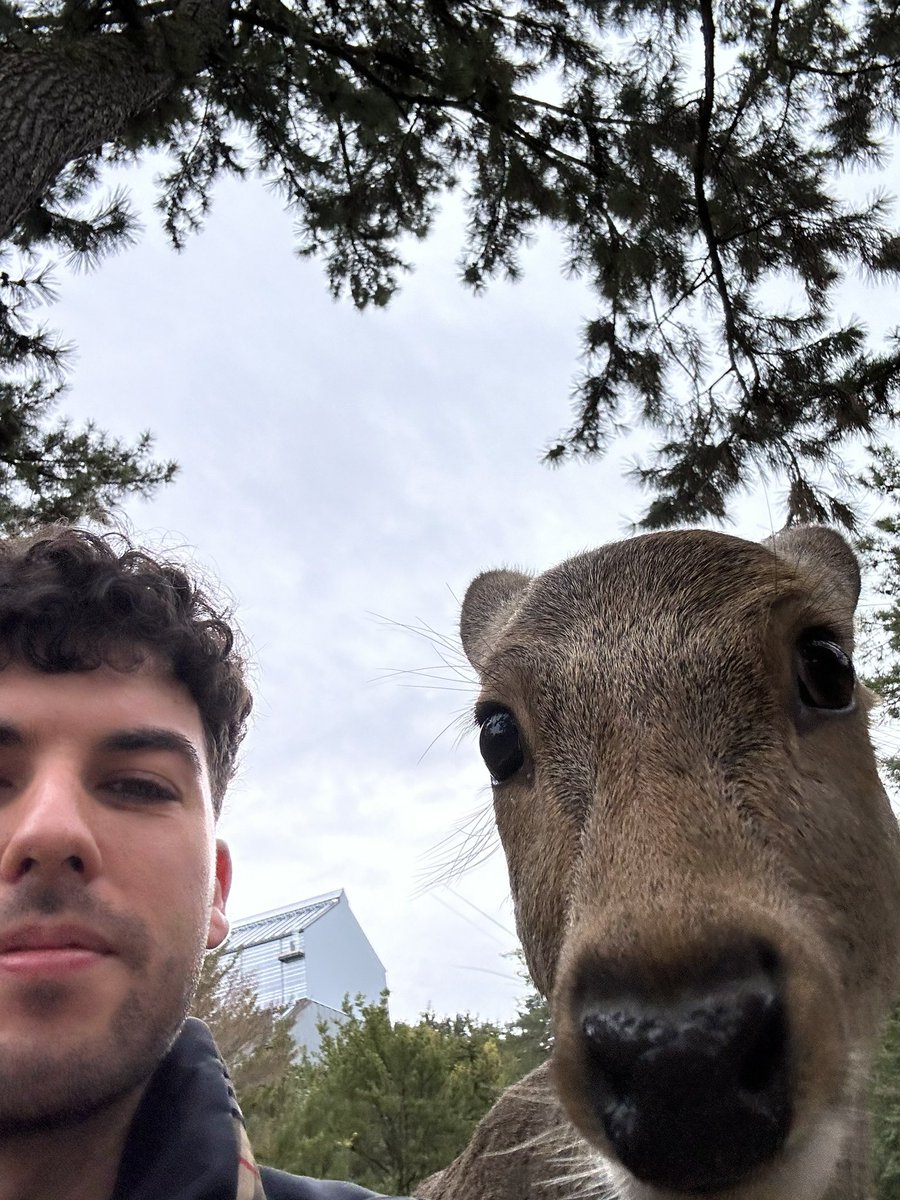 cuando le das sin querer a la cámara frontal