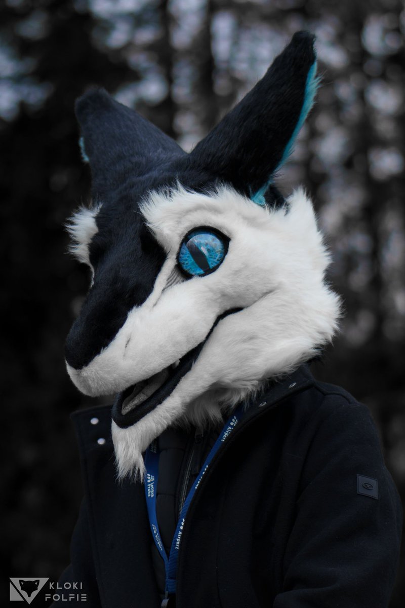 Im still here &gt;:3 

📸: <a href="/KlokiFolfie/">KlokiFolfie</a> 

#FursuitFriday #furry #fursuit #sergal