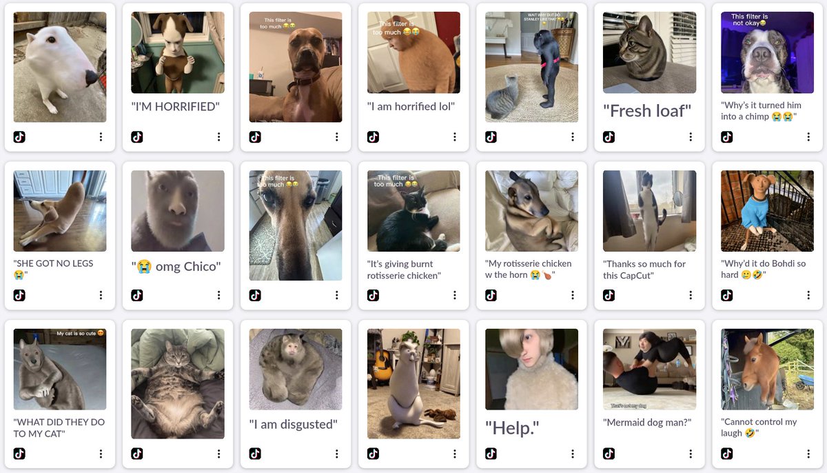 The spinning microwave filter has taken over TikTok these past few weeks – we've pulled together a Shooglebox with some of the funniest videos: bit.ly/43cqSUP