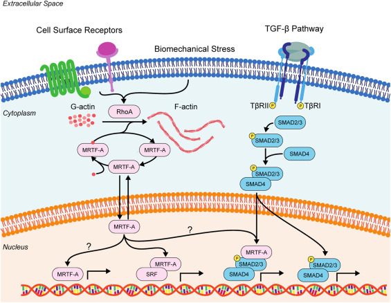 Riccardo Gottardi tweet media