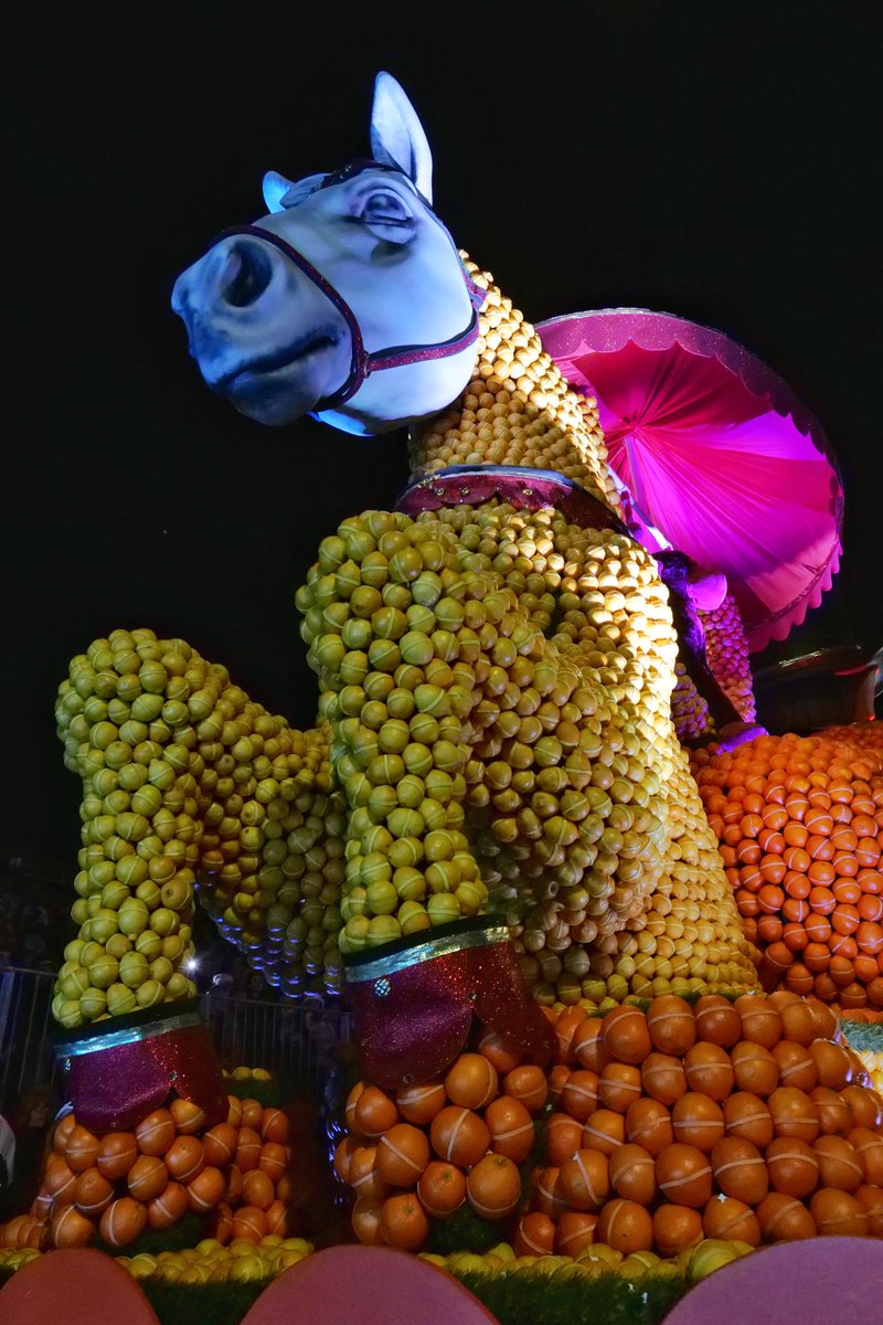 𝗨𝗻 𝗷𝗼𝘂𝗿 - 𝘂𝗻𝗲 𝗽𝗵𝗼𝘁𝗼
📷 ©Ville de Menton
#menton #unjourunephoto #CotedAzurFrance #feteducitron2025