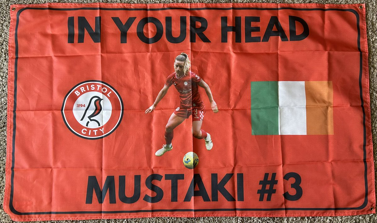 AggroFlags's tweet image. Recently made 6 beauties for the @bristolcitywfc Team!

Really happy with how these have come out, all large orders like this will come with a subsidised price, contact us if you are after something similar.