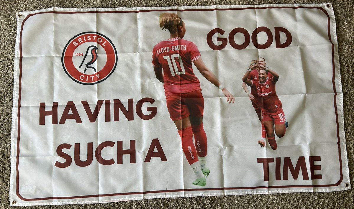 AggroFlags's tweet image. Recently made 6 beauties for the @bristolcitywfc Team!

Really happy with how these have come out, all large orders like this will come with a subsidised price, contact us if you are after something similar.
