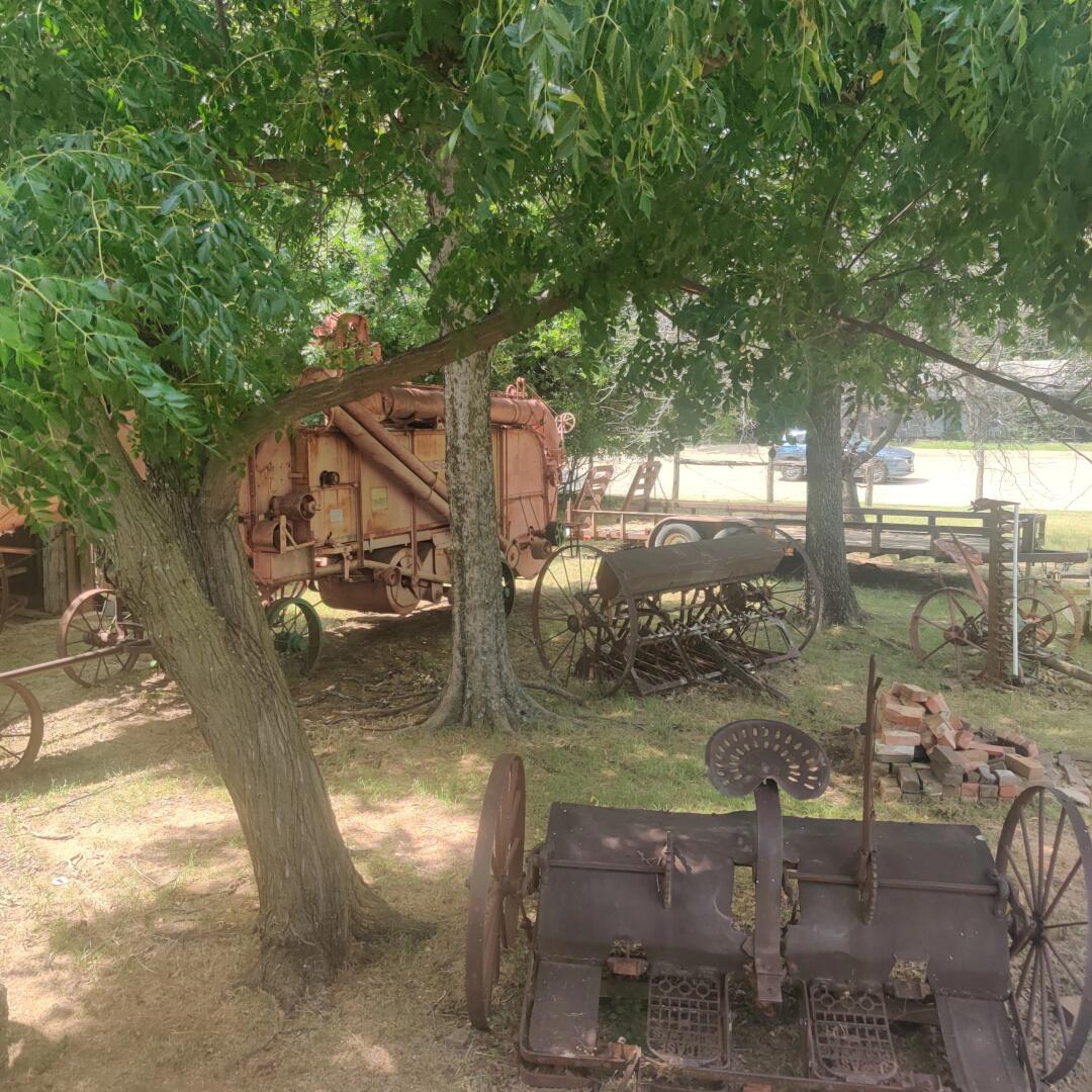 Addy_arjunaidi3's tweet image. Sheep are gentle herbivorous animals that provide wool, milk, and meat, holding significant economic and cultural value. They typically live in open grasslands in flocks #FarmLife #LivestockFarming #AnimalHusbandry #RanchLife #FarmAnimals #FarmingCommunity #SustainableFarming 😇