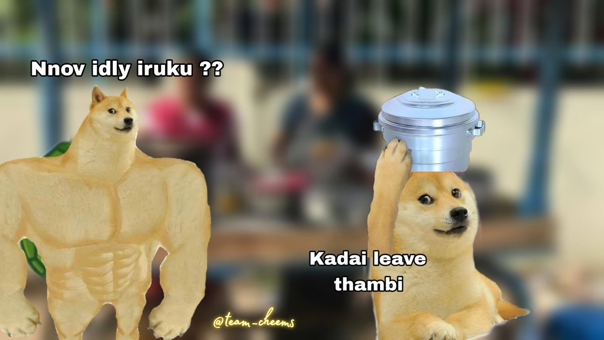 team_cheems's tweet photo. . https://t.co/TBs9NDlxyw